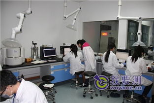 测网访上海微谱化工技术服务 技术开发赋能产业升级