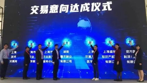 专利拆分与分别许可 以11.28亿价值专利实现收益最大化的上海技术服务与技术开发策略